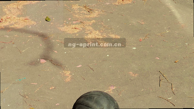 为中小企业提供财税外包、记账报税服务。